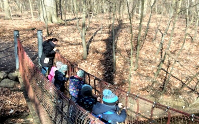 Waldbaden im Stadtwald – Achtsamkeit unter freiem Himmel